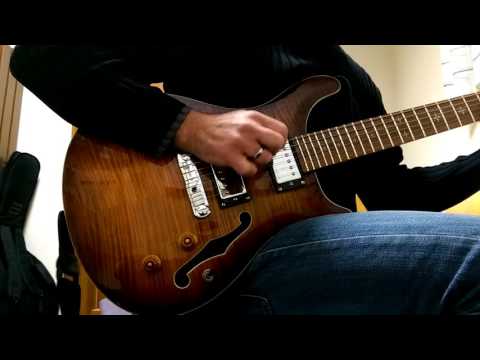 Davide Petrocca, guitar.Playing Jazz with a Harley Benton cst-24 HB