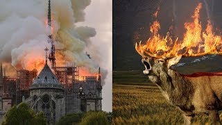 La verdad de porque La Amazonia NO y Notre Dame SI