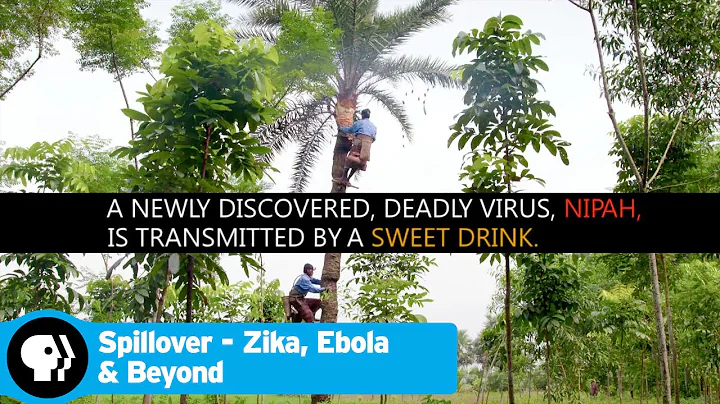 SPILLOVER - ZIKA, EBOLA & BEYOND | Tree Climber | PBS