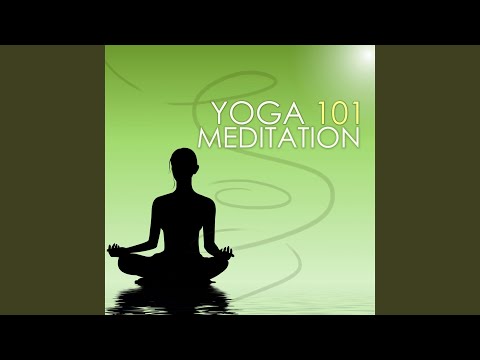 Regardez Finding the Power Within sur YouTube