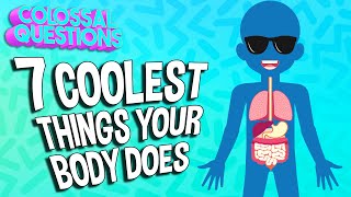 7 Coolest Things Your Body Does Colossal Questions