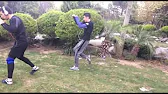 Ali