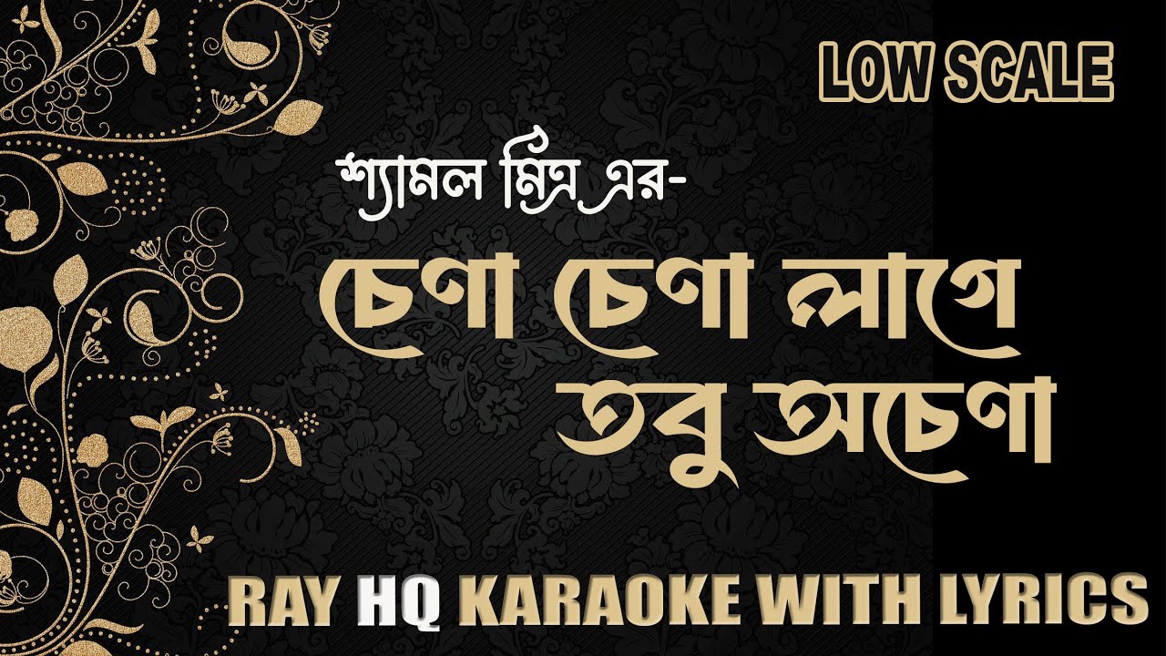 চেনা চেনা লাগে তবু অচেনা | Chena Chena Lage |KARAOKE WITH LYRICS। শ্যামল মিত্র।