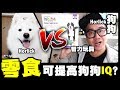 零食可提高狗狗IQ？再戰智力玩具【Horlick妹】