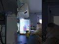 A pet de vocês também é dessas que não pode ver um barulhinho diferente que já vai investigar!?