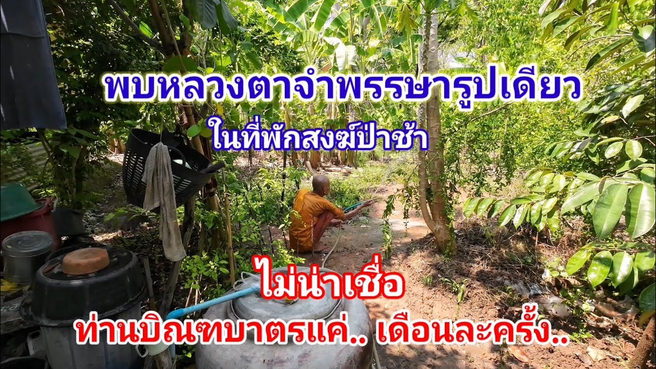 พบหลวงตาจำพรรษารูปเดียว​ ในที่พักสงฆ์ป่าช้า​ ไม่น่าเชื่อท่านบิณฑบาตรแค่เดือนละครั้ง​ 