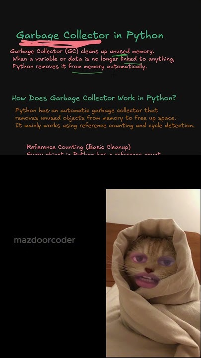 garbage collector #coder #python #programming - YouTube
