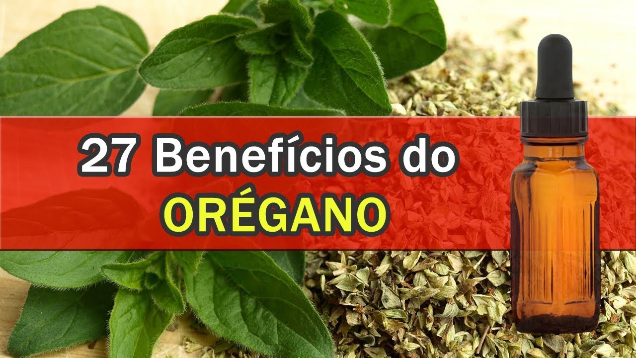 27 BENEFÍCIOS DO ORÉGANO - YouTube
