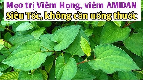 Mẹo trị Viêm Họng, Viêm AMIDAN siêu tốc không cần uống thuốc. PHAN HẢI Channel