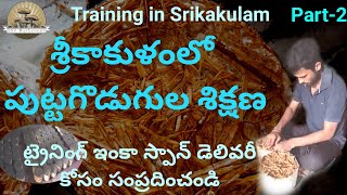 Milky Mushroom Cultivation in TeluguBSV Mushrooms  SrikakulamMushroomstraining 7330633125