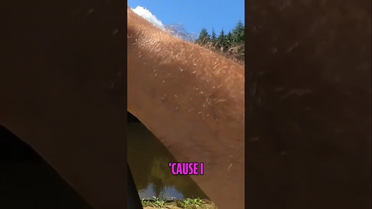 Fishing Prediction Watch A Carp Bite Like Clockwork 
