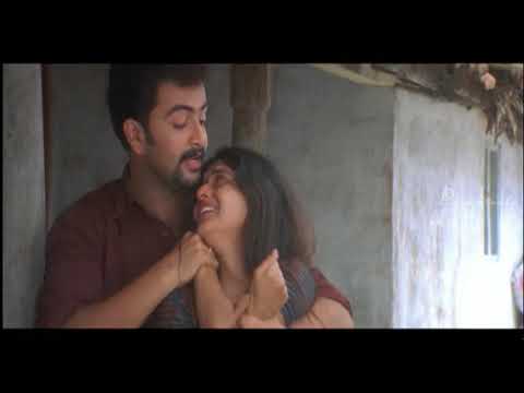 Prithviraj Movies 2018 | Swapnakoodu Climax Scene | Prithviraj And Meera Jasmine Unite | End Credits