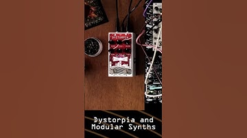 Dystorpia and modular synths | Noise Engineering #shorts