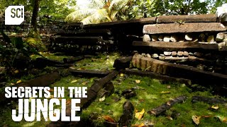 Pohnpei's Ancient City of Mysterious Origin | Secrets in the Jungle | Science Channel by Science Channel 10,885 views 2 months ago 11 minutes, 15 seconds
