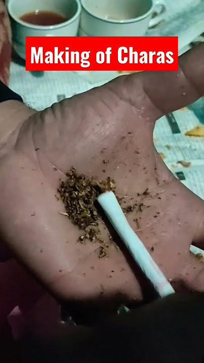 making of Cha*S #shorts #shortsvideo #gilgitbaltistan #trending #viral #foryou #charas #tiktok