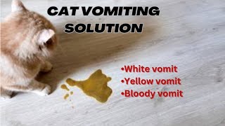 Why do cat vomit? || Causes cat throw up and ways to treat a vomiting cat || The cat's care