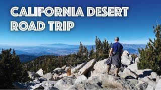California Desert Trip Trailer