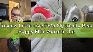 Review Little Live Pets My Really Real Puppy Mini Aurora The Husky Interactive Plush Toy with Displ