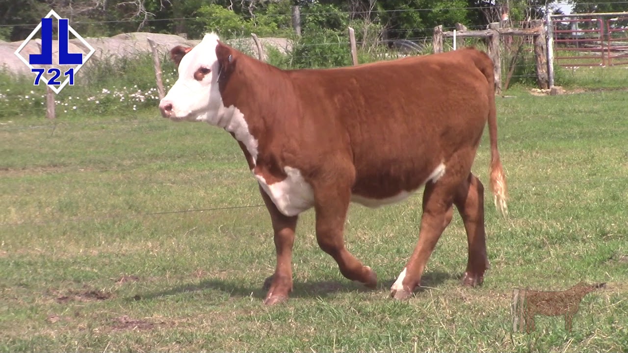 Lot 3 - DBLL JR 5182 MAYBLE 721 ET
