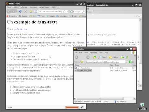 07les commentaire en html.flv