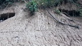 Searching The River For American Indian Stone Artifacts