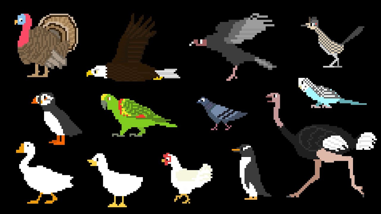 Birds - The Kids' Picture Show - YouTube