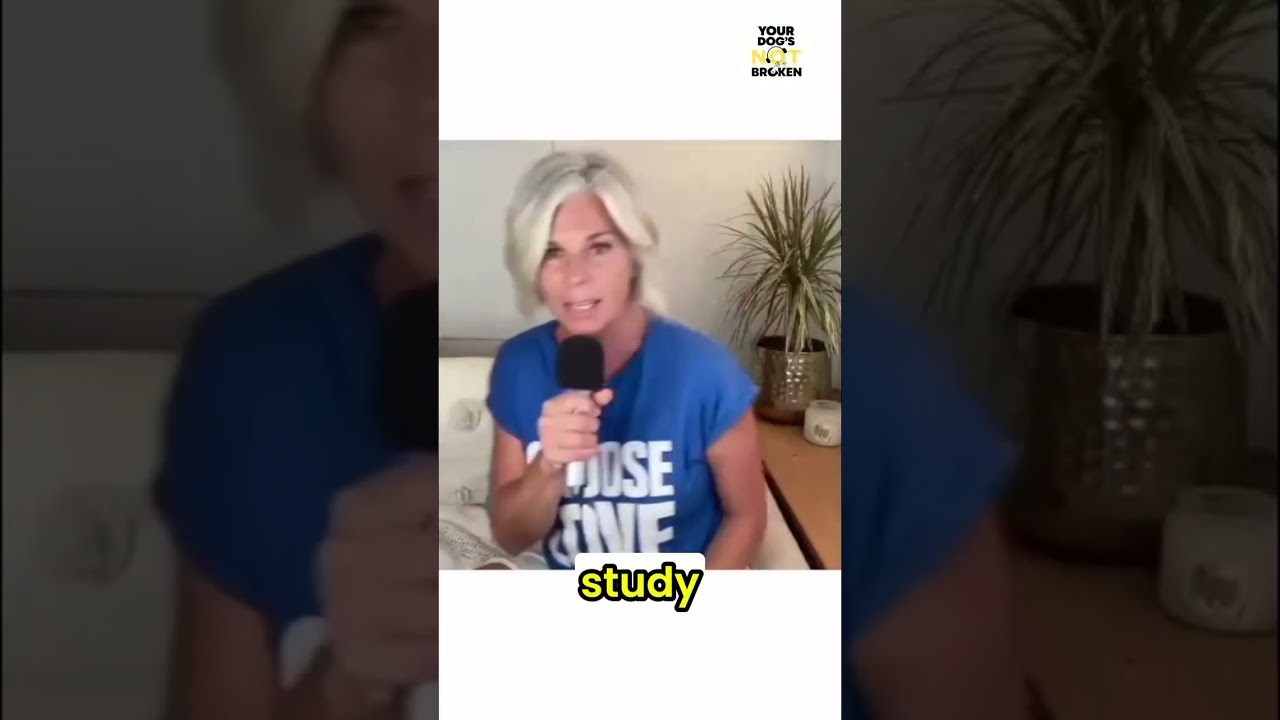 Dog Behavior Problems: Shocking Study Results Revealed! 