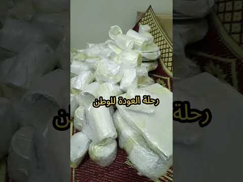راجع لاهله وناسه راجع ورافع راسه