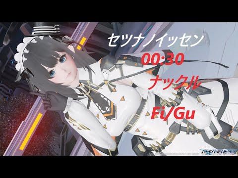 【PSO2NGS】セツナノイッセン ナックル 無被弾 0:30 Fi/Gu 【ブジン】