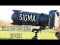 Sigma 70-200mm f/2.8 DG OS HSM SPORT - Overview & Sample Photos