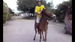No Grau Empinando com  o Burro