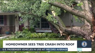 Homeowner sees tree crash into roof