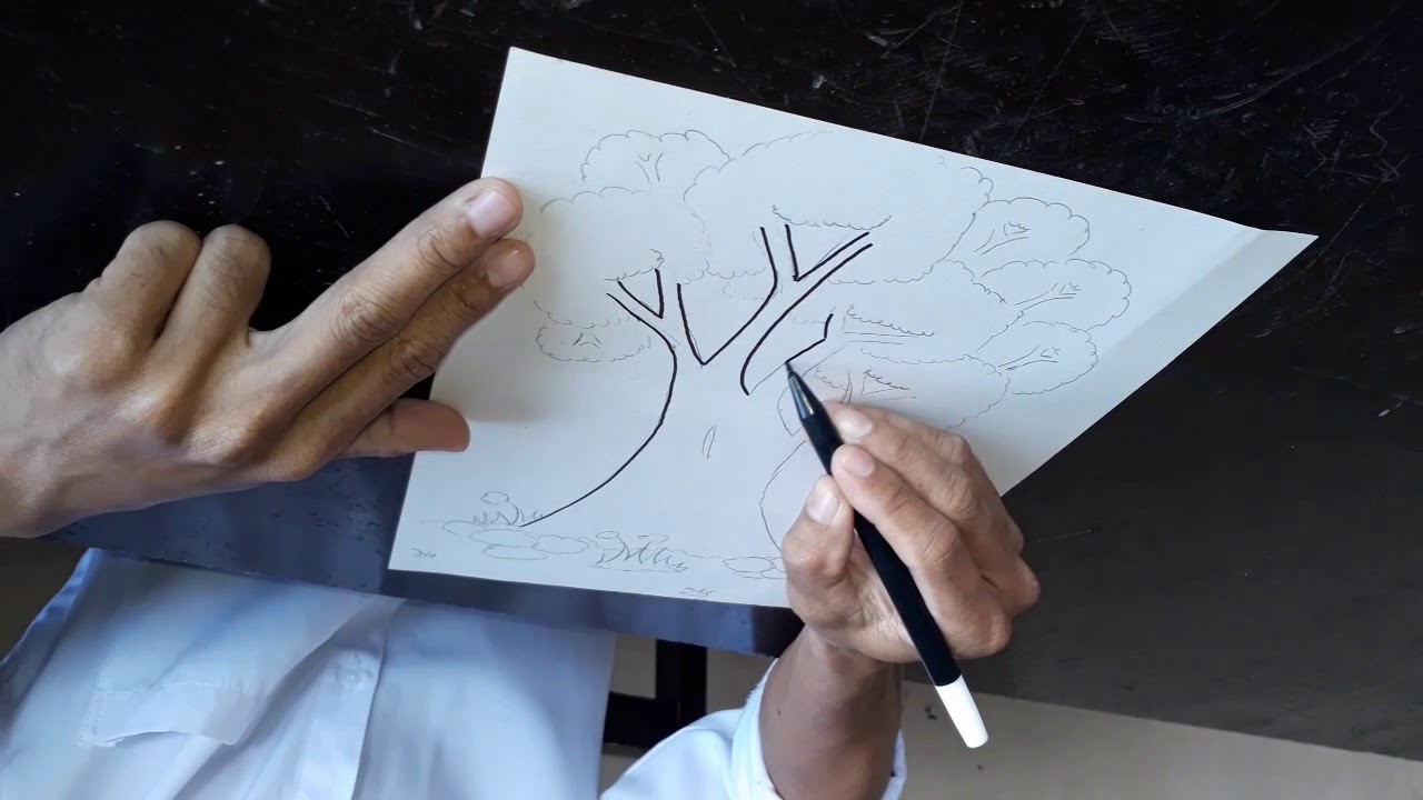 Cara Mudah Menggambar Sketsa Pohon Menggunakan Pensil Youtube