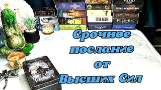 Срочное послание от Высших Сил