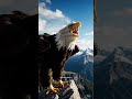 #Nature #BirdSong #Wildlife #Shorts This Bird Surprised Everyone With