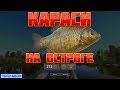 Русская рыбалка 4 (РР4)/Карась/Старый Острог