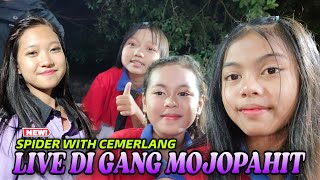 LIVE DI GANG MOJOPAHIT || SPIDER TGC & CEMERLANG