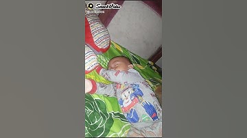 tai ucing tai kuda pusing atuh da