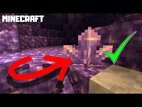 MINECRAFT | How to Grow Amethyst Cluster 1.17