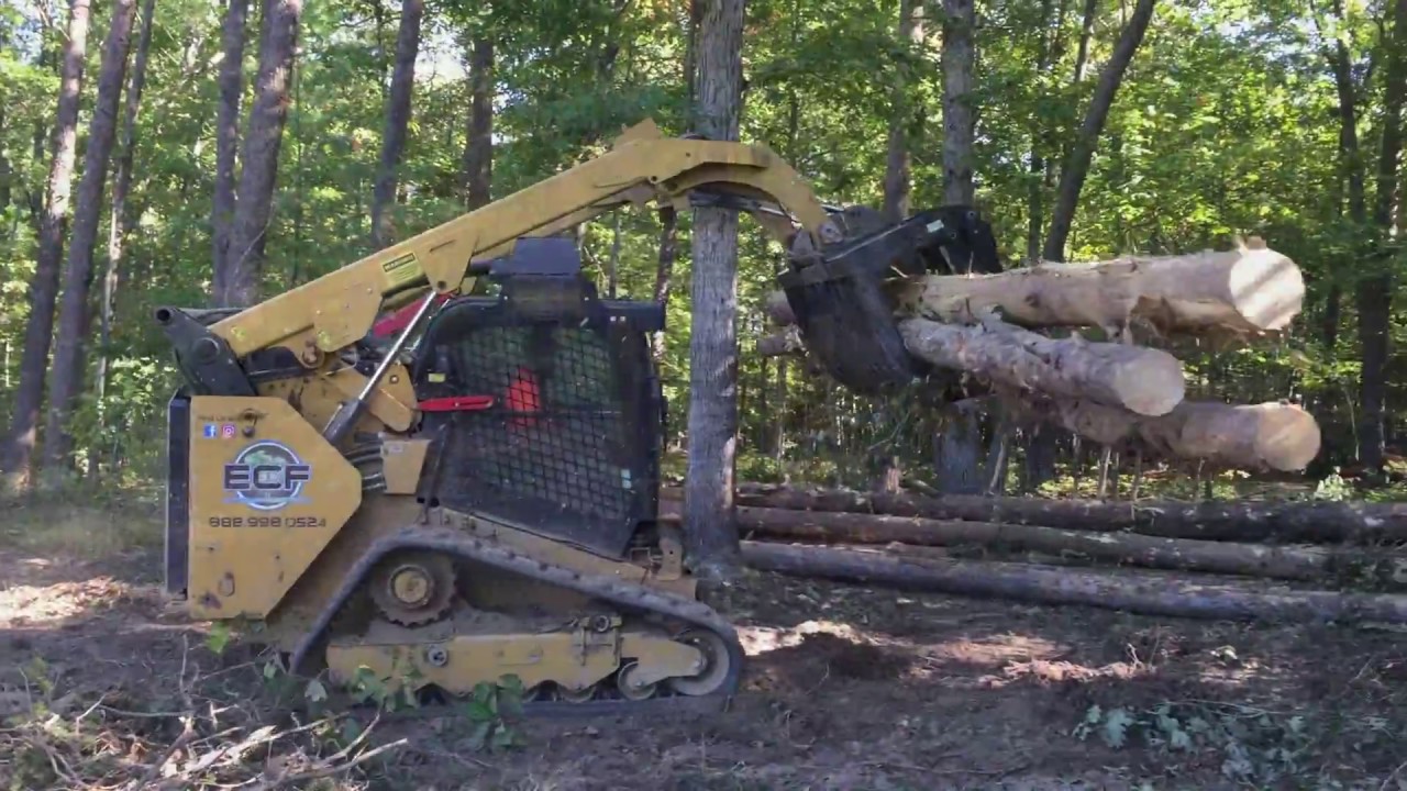 Tree and Brush Clearing