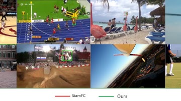 SiamDW-Visiualization