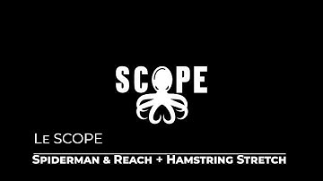 Spiderman & Reach + Hamstring Stretch