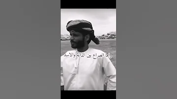 مرادات بين بو القبايل و سعيد قيضر هبيس صح لسانهم 
