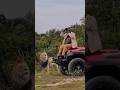Wildlife Adventure рџ Јрџ Wildlife Adventure рџ Јрџ