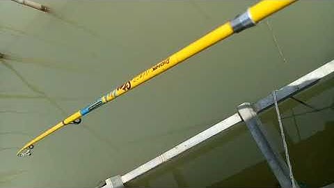 CLIP CÂU CÁ CÓC ĐẦU MÙA TRÊN SÔNG HẬU | THÁNG 3-2018