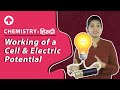 Working of a Cell &amp; Electric Potential | Hindi | Chemistry