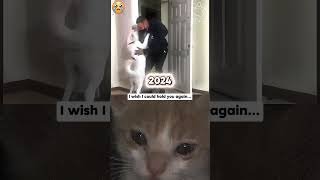 I wish i could hug my dog again 😥 #cat #dog #animals #sad #shorts