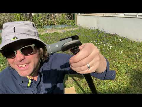 Bresson x Nano60 vs iPhone native mics: Bee Safari