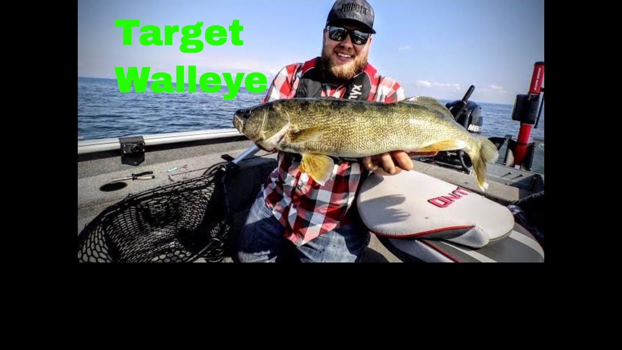 Targeting Walleye Fishing Edge TV YouTube