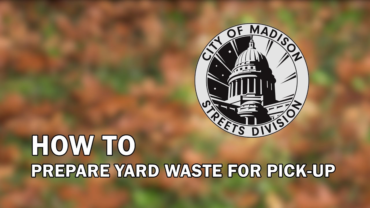 Where can I get paper bags for my yard waste in Charlotte?